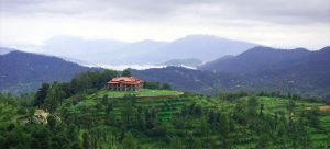 Read more about the article DYO Organic farm resort, Mukteshwar, Uttrakhand.