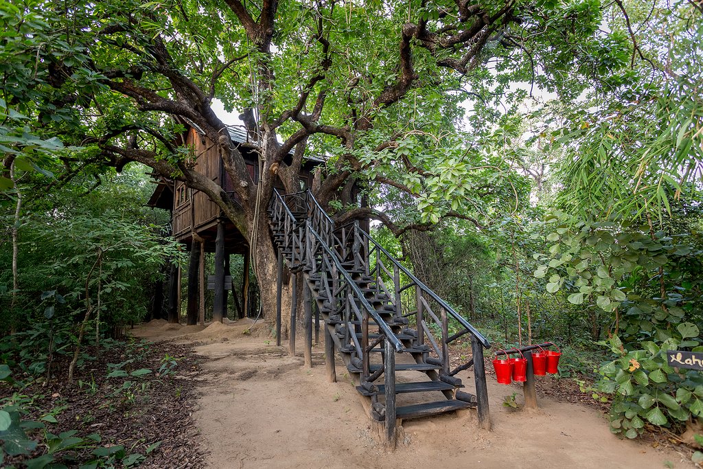 Read more about the article Tree House Hideaway, Bandhavgarh National Park – Unparalleled warmth