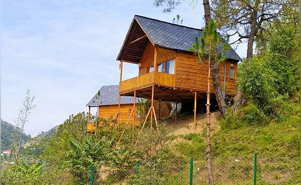 Read more about the article Suro Treehouse Resort, Shimla – A unique experience