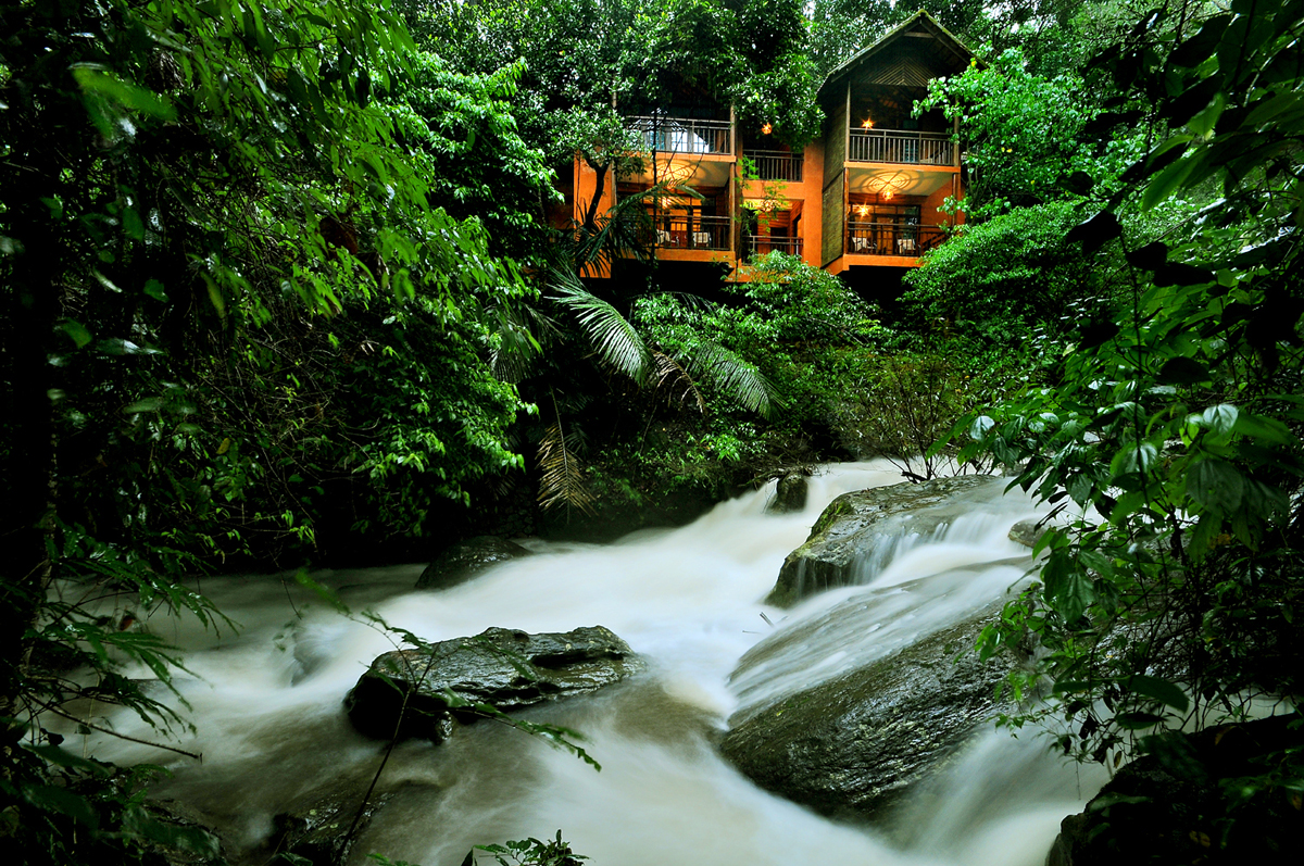 You are currently viewing A luxurious and unique rainforest stay in Kerala