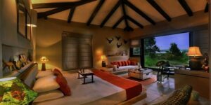 Read more about the article Bori Safari lodge, MP – Wildlife and Village in luxury