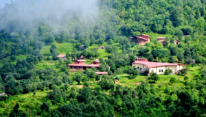 Read more about the article MM retreat – Enjoy this unique stay in forest with Himalayas