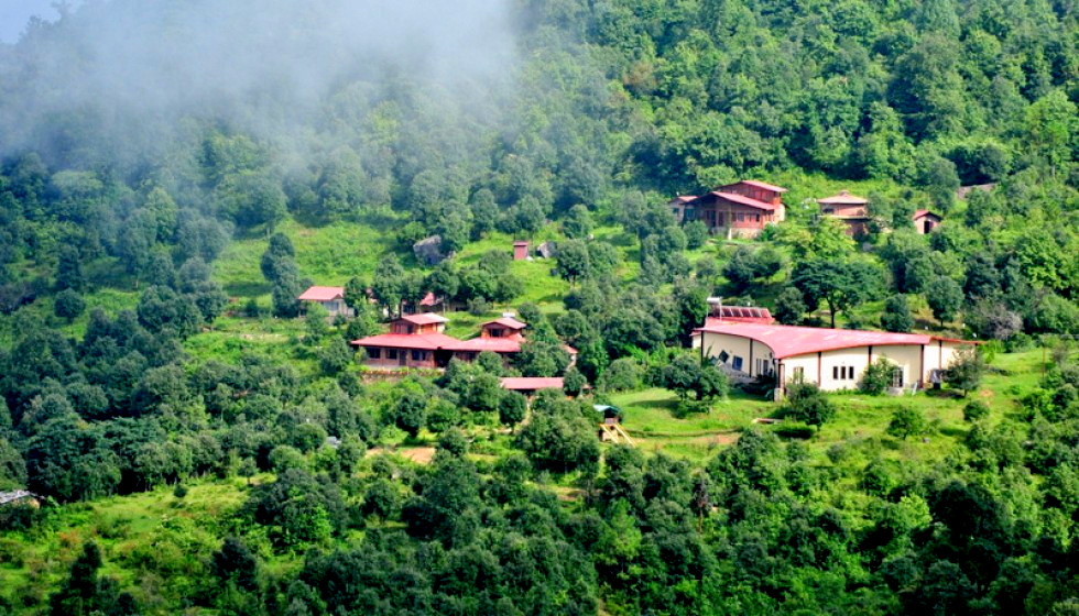 You are currently viewing MM retreat – Enjoy this unique stay in forest with Himalayas