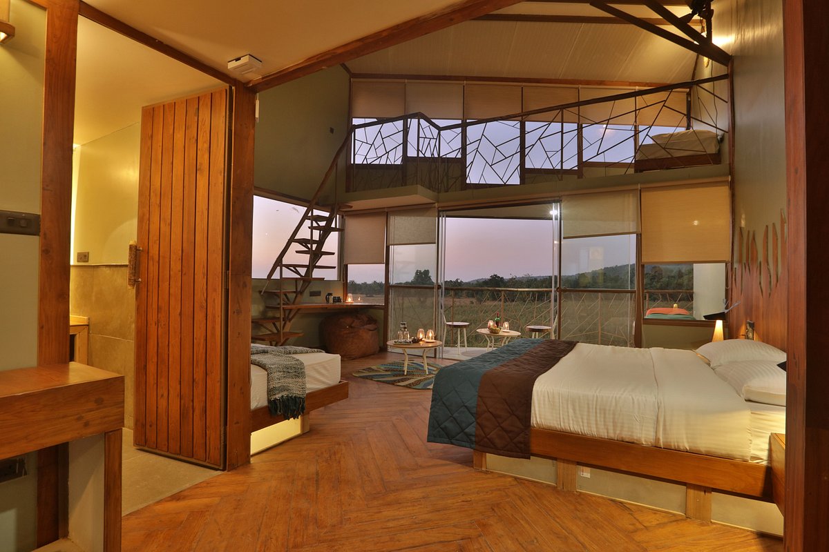 Read more about the article Tadoba Jungle camp – A luxurious experience with the wild
