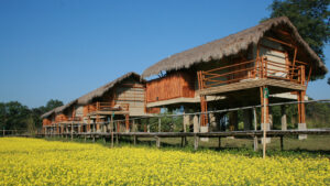 Read more about the article Diphlu river lodge, Assam – Luxury in the wild (Kaziranga)
